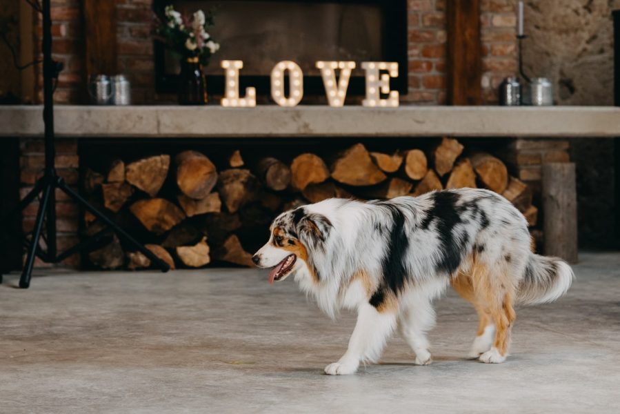 svadba_semikovice_jakubhasak-104-min