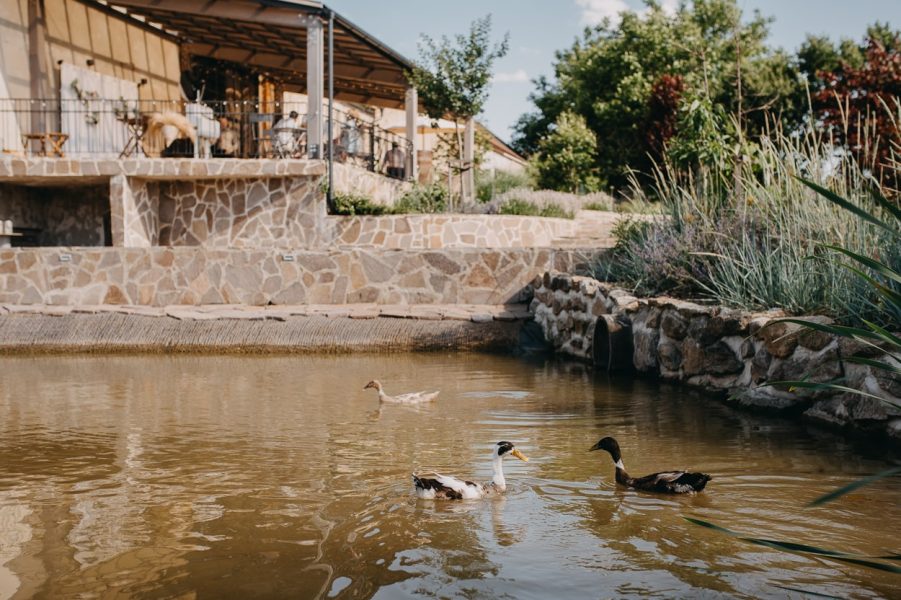 svadba_semikovice_jakubhasak-123-min